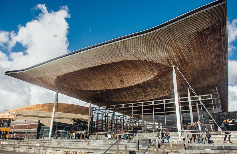 Senedd Cymru/Welsh Parliament